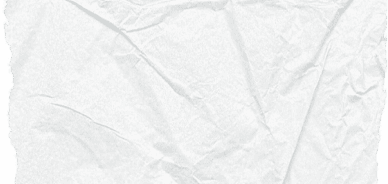 bg-banner